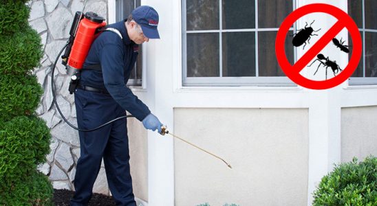 Yıkıkkemer Haşere İlaçlama böcek ilaçlama ve haşere kontrolü — ilaclama-tr.com
